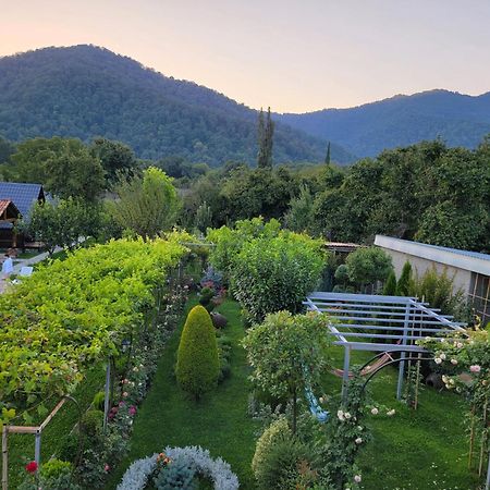 Guest House Gardenia & Wine Cellar Lagodekhi Bagian luar foto