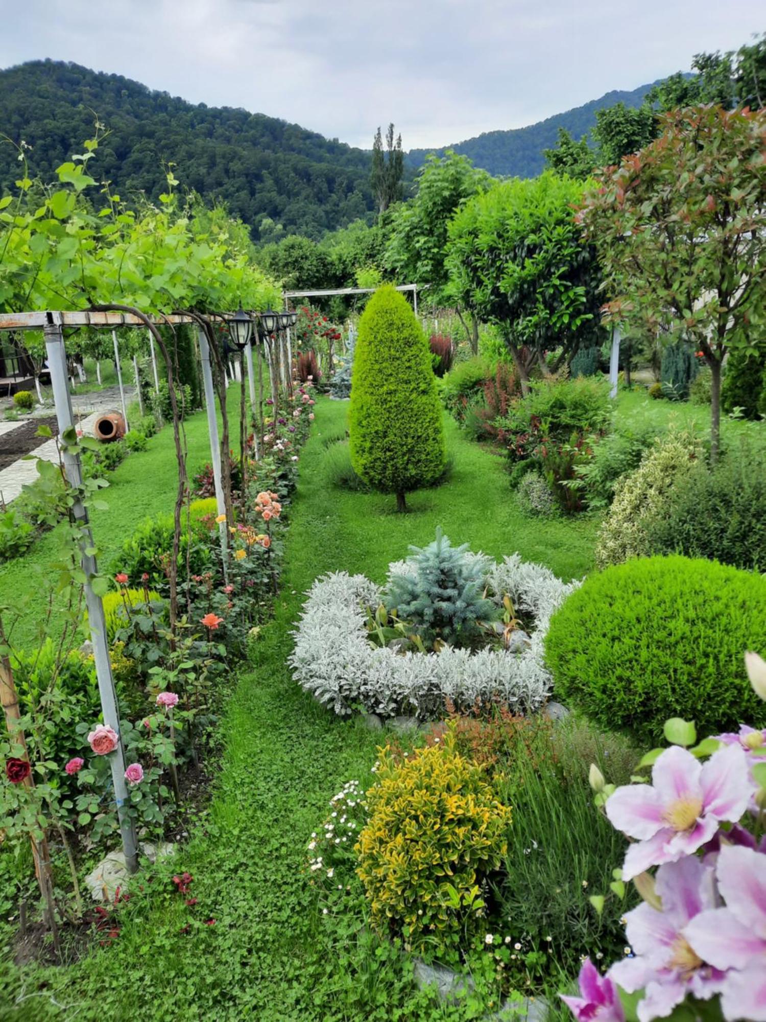 Guest House Gardenia & Wine Cellar Lagodekhi Bagian luar foto
