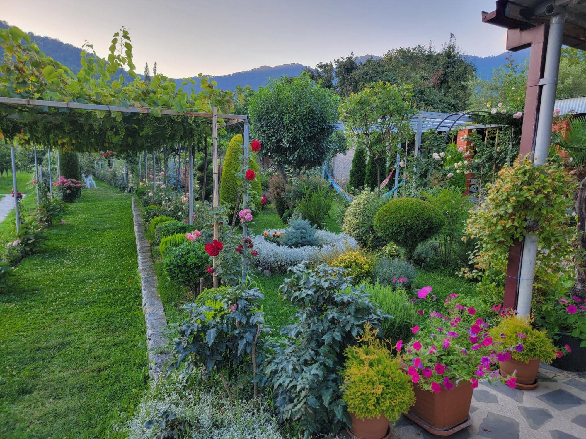 Guest House Gardenia & Wine Cellar Lagodekhi Bagian luar foto