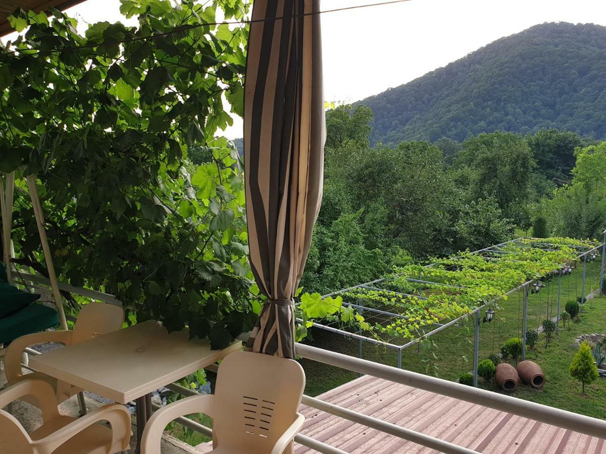 Guest House Gardenia & Wine Cellar Lagodekhi Bagian luar foto