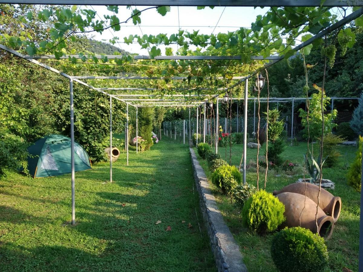 Guest House Gardenia & Wine Cellar Lagodekhi Bagian luar foto